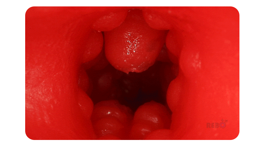 6f2ebdfde9cab78faeef03a2713759d4_1751962286_5362.gif