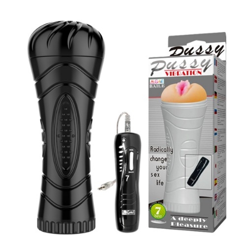 푸쉬라이트 진동기