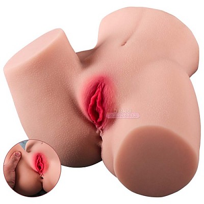 2.6kg-요코 엉덩이