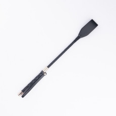 채찍 체벌 회초리